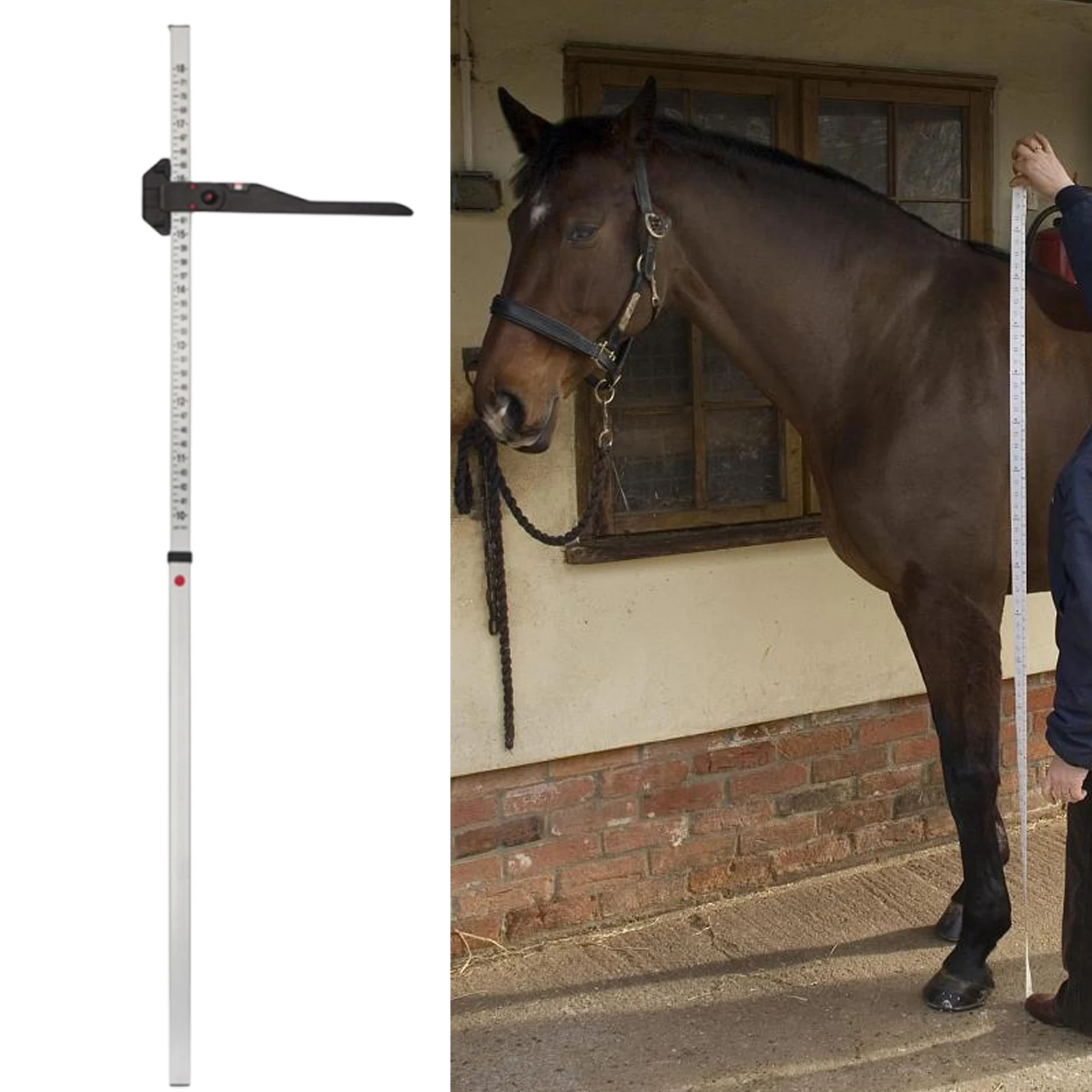 Horse Height Measuring Stick Multifunction Horse Height Ruler for Farm
