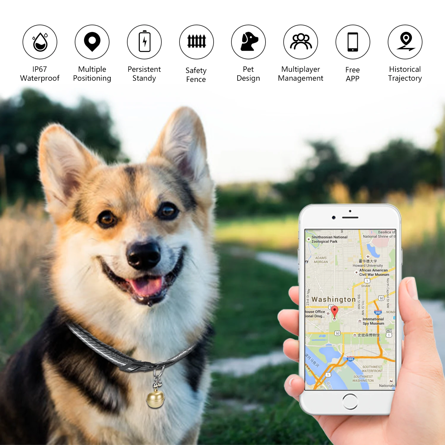 

IP67 Pet Location tracker SIM LBS wifi GPS bell collar anti-lost artifact cat and dog anti-lost device positioning waterproof