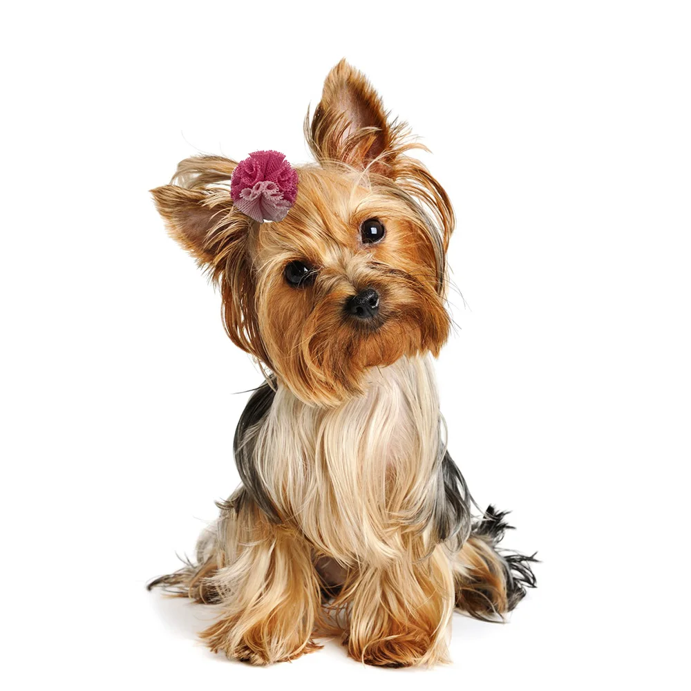 Title 14, 20pcs Small Dog Hair Bows Pet Dog Hair Accessor...