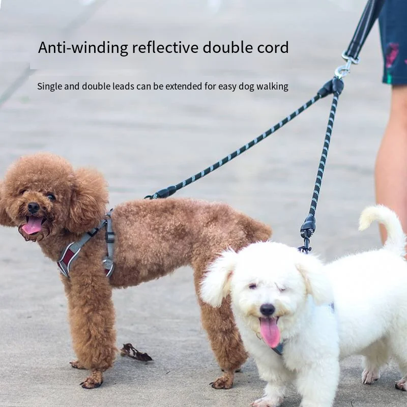 Dogs Chain With Rope S5d572efa792e4442ab6ec486d9ee0ca7E.png