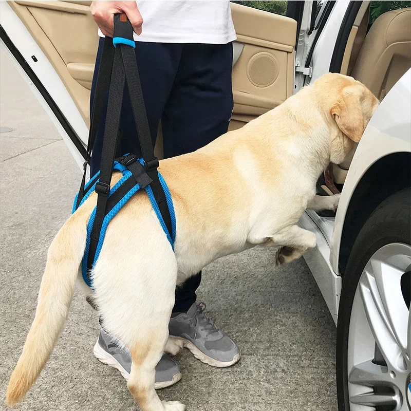 Adjustable Dog Lift Harness for Large Dogs Soft Padded Pet Rear Leg Support for Old Disabled Joint Injuries Dog Back Leg Hold