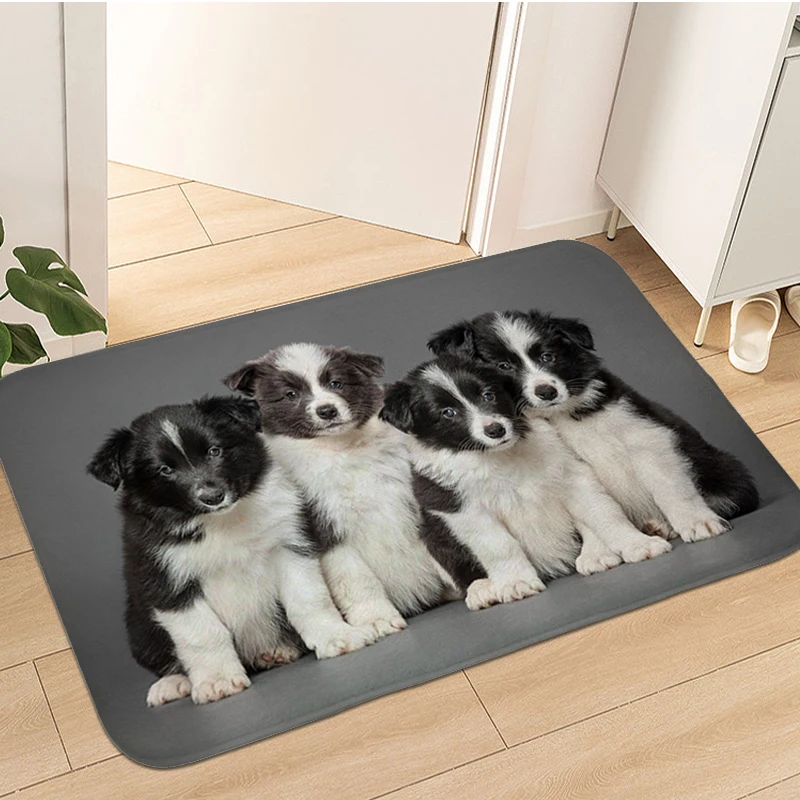 

Border Collie Rug for Bedroom Floor Mats Front Door Carpet for Home Entrance Washable Non-slip Kitchen Foot Mat Home Decorations