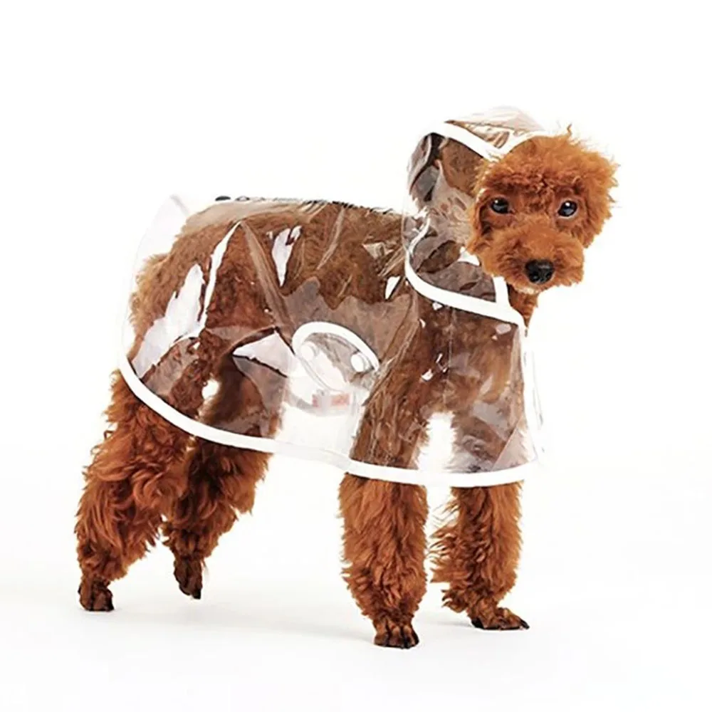 Impermeabile Trasparente Per Cani In EVA – Poncho Con Cappuccio, Regolabile E Ultraleggero, Perfetto Per Passeggiate Sotto La Pioggia (Taglia M)