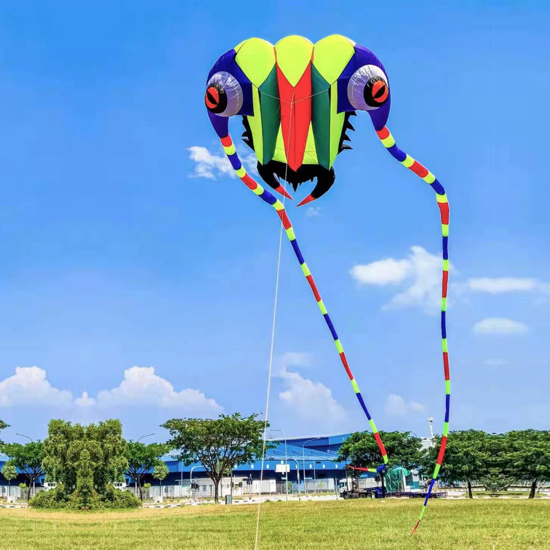 9KM 7sqm Trilobite Kite Pilot Lifter Line Laundry Soft Inflatable Show Kite for Kite Festival 30D Ripstop Nylon with Bag 5