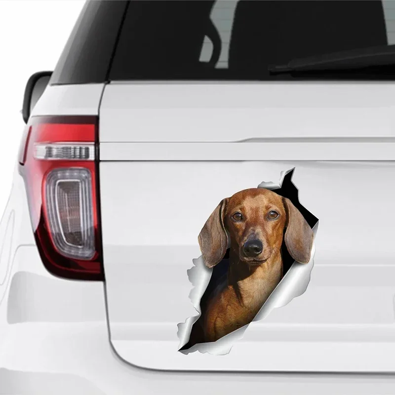 Autocollant Voiture "Chien à Bord" Noir Vinyle Transparent - Résistant UV Et Lavages - Fabriqué En France - 8