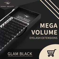 Winky Beauty Personalized Silk Lashes - Russian Volume & Classic Extensions - 0.15MM