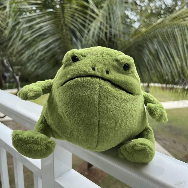 Ricky Rain Frog Plush, Kawaii Frog Plush, Plushes Funny, Frog Plushie