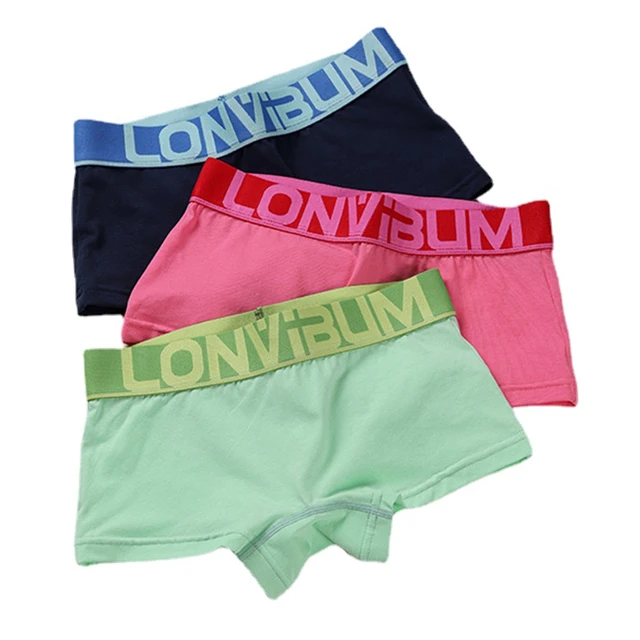 HaleyChan Women's Cotton Boxer Briefs Trans Lesbian Tomboy LGBT Colorful  Underwear Letter Printed Belt Sports Briefs Panties-1Pc - AliExpress