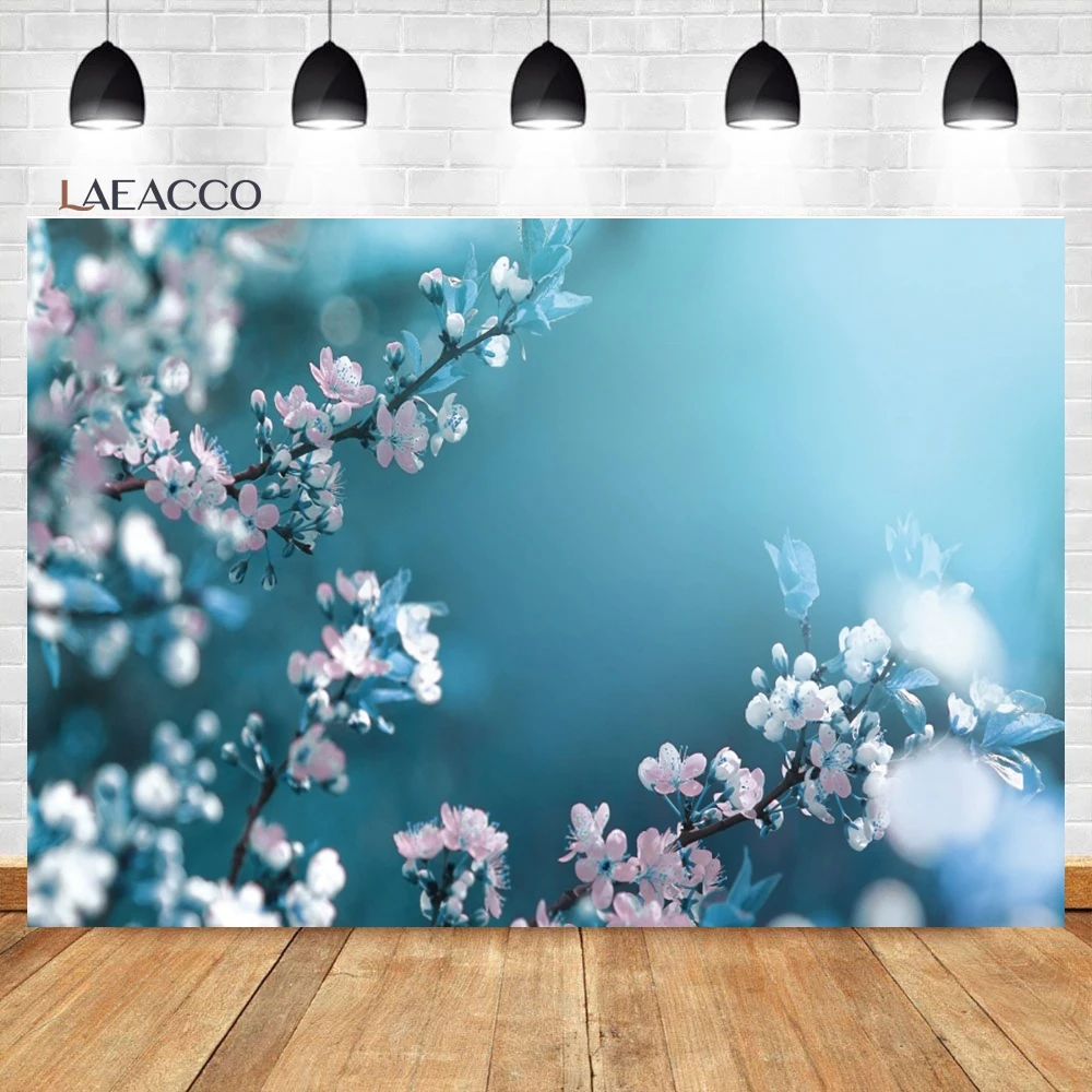 Laeacco       , ȥ  Ƽ Ȩ , ҳ ʻȭ  
