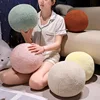 30x30cm Plush Ball Toy Stuffed Colorful Soft Squishy Dancing Accessory Pillow Sofa Chair Bed Decor Plushie Gift 3