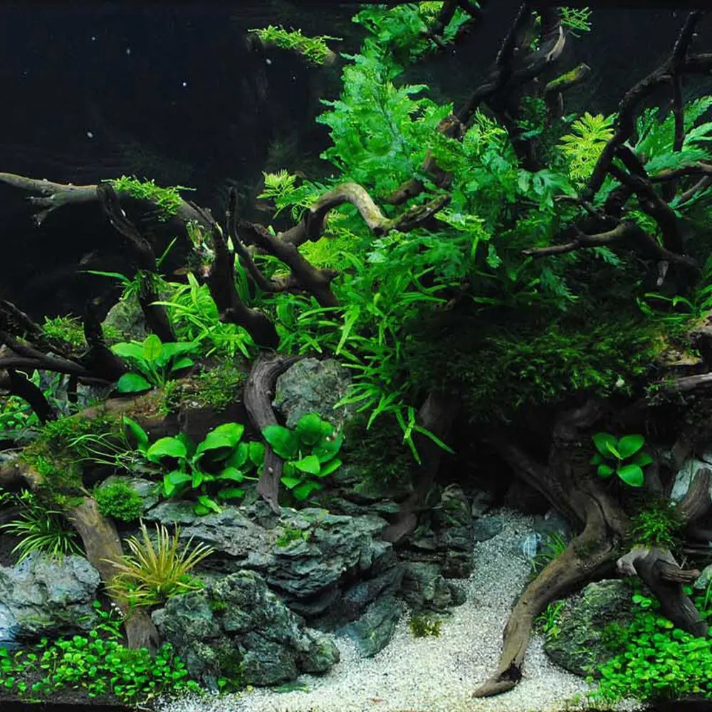 Title 4, N1N Artwork Decor Fish Tank Ornament Reptile Aq...