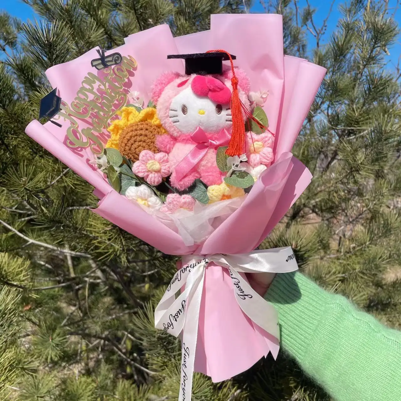 Cartoon Doll Flower bouquet Kuromi Cinnamoroll Mymelody KT With Graduation hat Plush Dolls Graduation Gifts For Kids