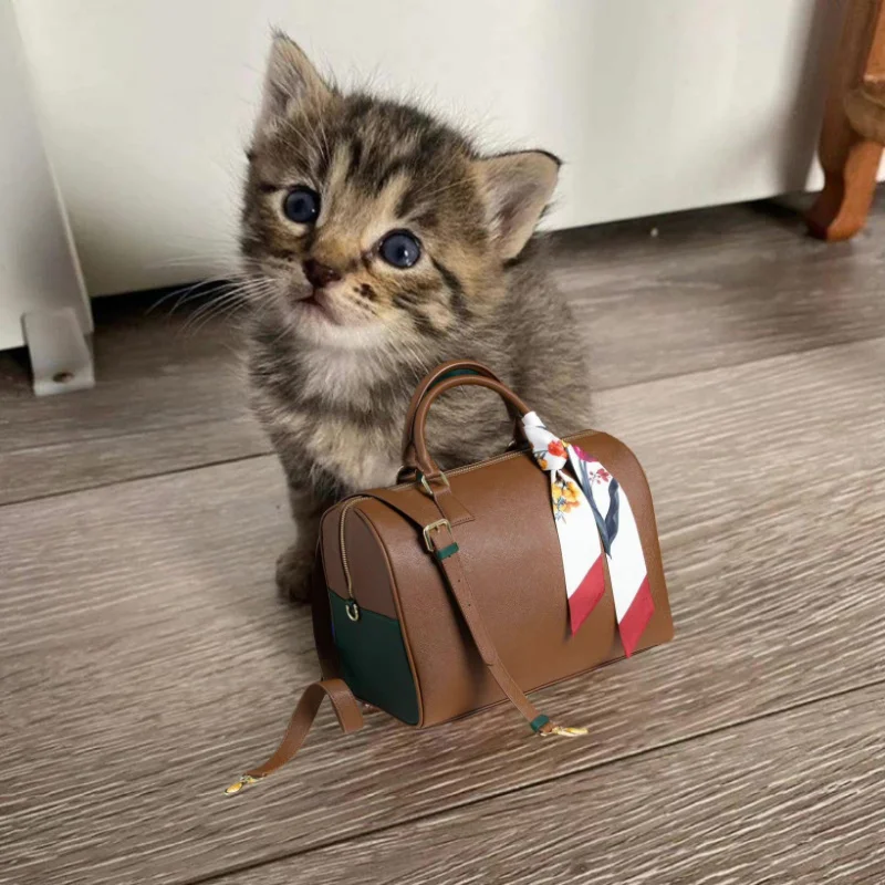 помоги котенку. котенок раскидывает кубики. котенок собирает. пазл кошка собранный. много котят разбегаются гифка.