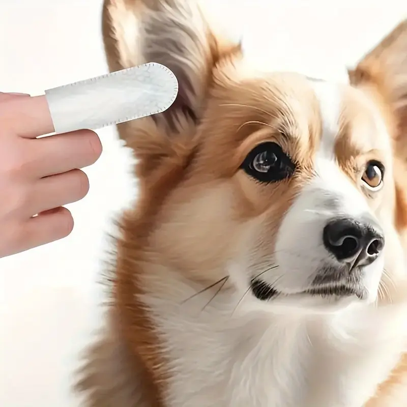100pcs Pet Cleaning Wet Wipes Finger Cot Ear Teeth One Time Cleaning Finger Cot Pet Cat Dog Odor Removal Cleaning Cloth Pet Tool - Image 2