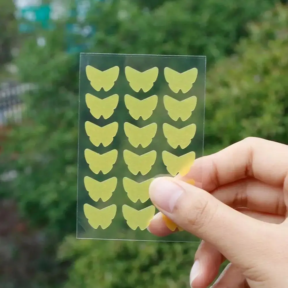 Рисунок 3 - Новинка, милое сердце