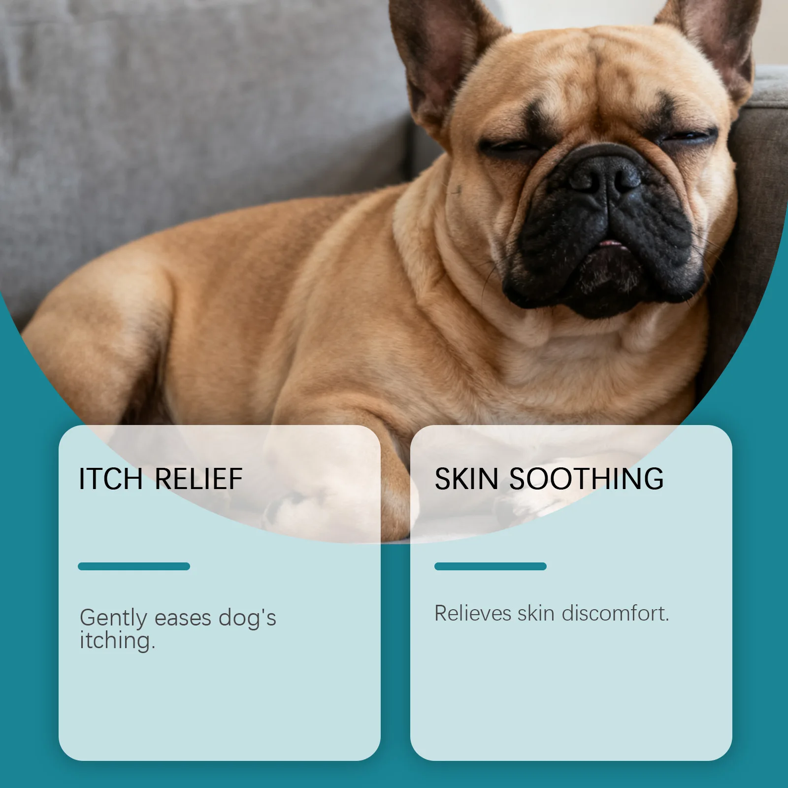 YEGBONG Anti-Juckreiz-Spray für Hunde und Katzen Langanhaltend Feuchtigkeitsspendend Lindert Trockene Haut Sanfte Formel Hautberuhigendes Haustierspray 120ml – Detail 6
