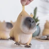 Capybara Anti Stress Fidget Toys For Anxiety Capybara Unusual Object Funny Stuff Brinquedos Para Alívio Do Estresse 1