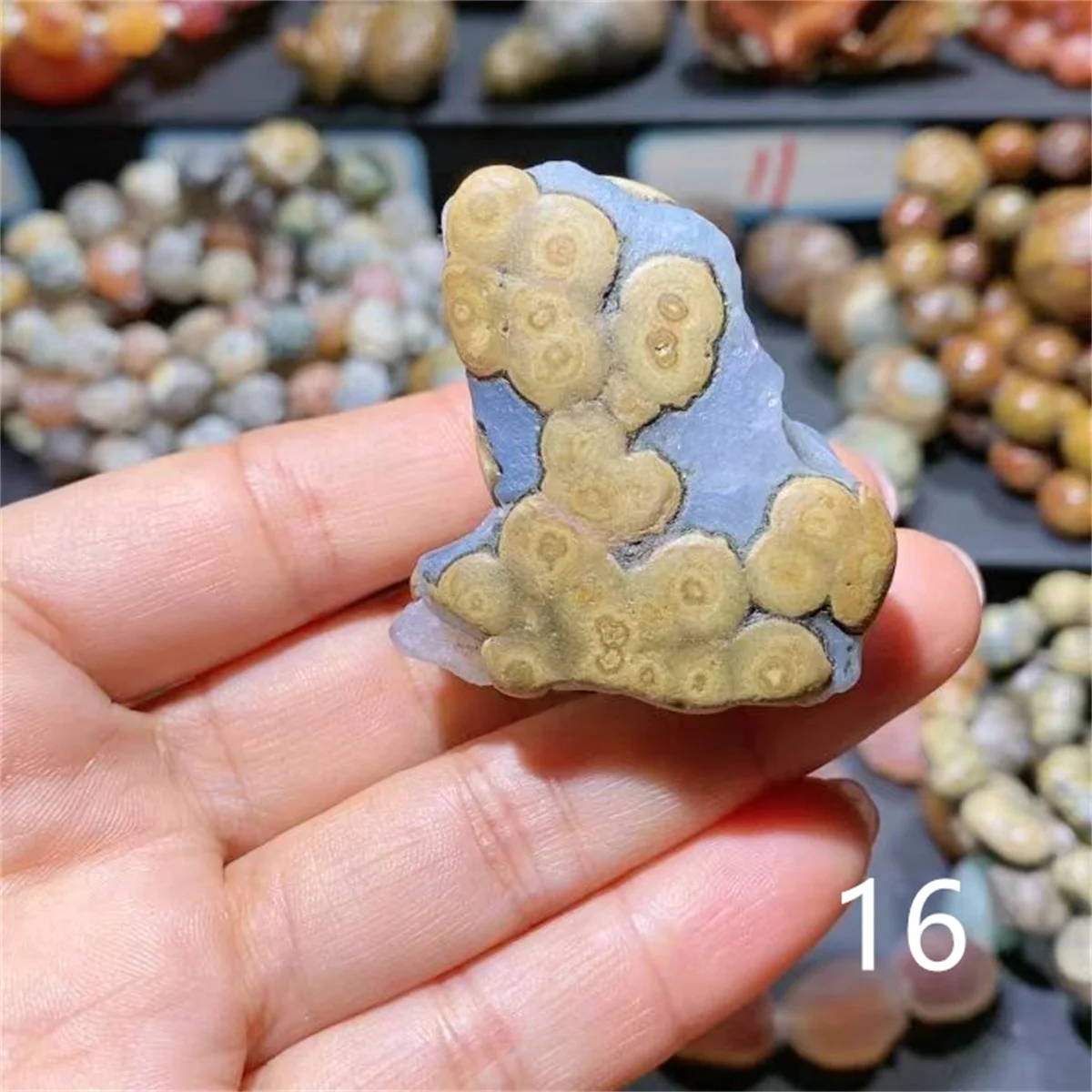 1pcs/lot Precious natural stone Gobi agate world's scarce collectibles Multi-eye pattern Treasured gifts Strong energy amulet