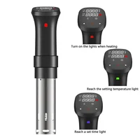 Low Temperature Slow Cooker Beef Steak Machine LCD Cooking Stick 2