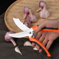 Spring Design Two-Color Plastic Handle Garlic Scissors Big End Scissors Vegetable Trimming Onion Shears Cooking Kitchen Cutter 1