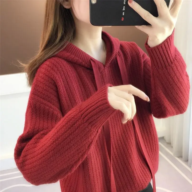 

Women's Sweaters Long Hooded Knitted Pullover Sweater Tops Warm Basic Winter Female Drop Shipping T223