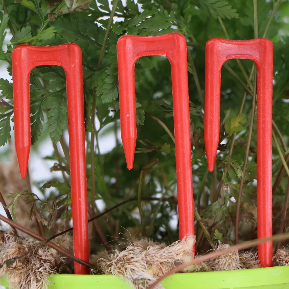 Fork 20-50PCS Strawberry Planting Dig 50mm 93mm 108mm Stolon Fixator Vine Pressing Device Watermelon Climbing Stem Clips plant clips plastic plant clips