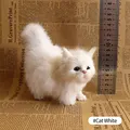 Cat White