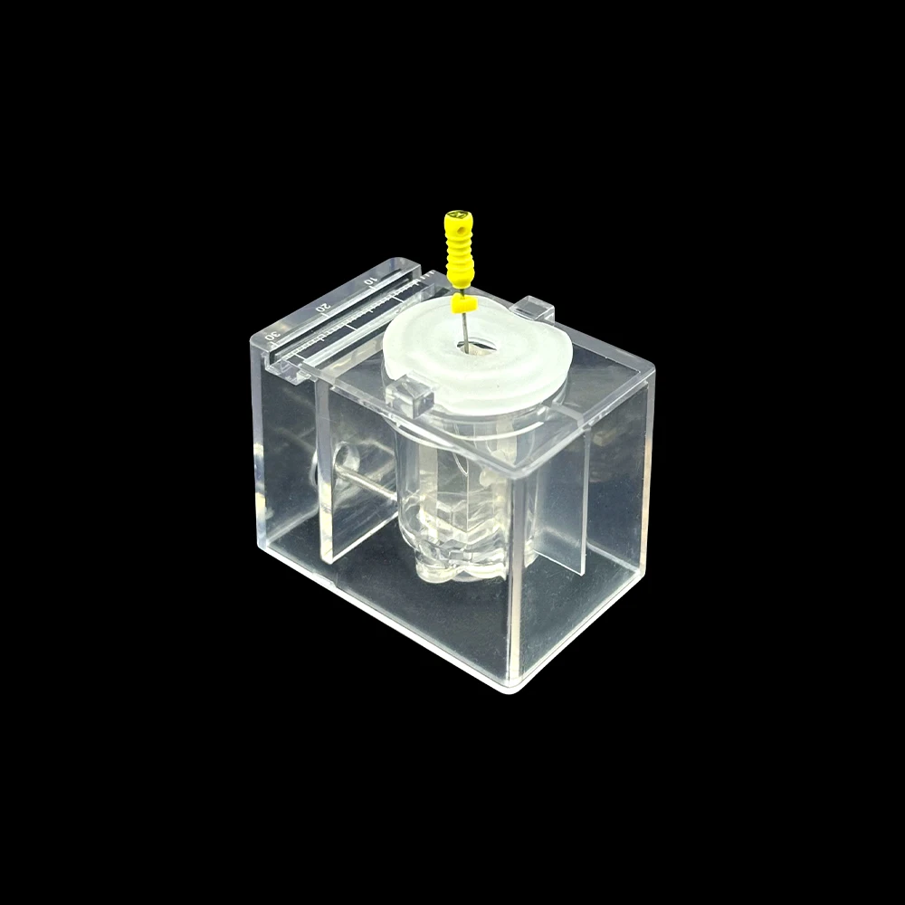 Root Canal Dental Training Model 6