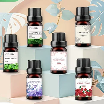 19 gusti Oli essenziali per diffusore di aromi Umidificatore domestico Solubile in acqua 10ml Deodorante per ambienti Profumi Olio profumato Profumo
