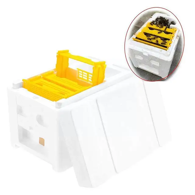 Queen Bee Tenyésztő Doboz Méh Párosító Hab Méhkas Beporzás Tenyésztés Méhész Tok Box Kert U4P3 - Image 2