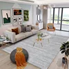 Minimalist Gray Carpets for Living Room Modern Luxury Bedroom Decor Large Area Carpet Soft Lounge Rug Home Washable Non-slip Mat 5