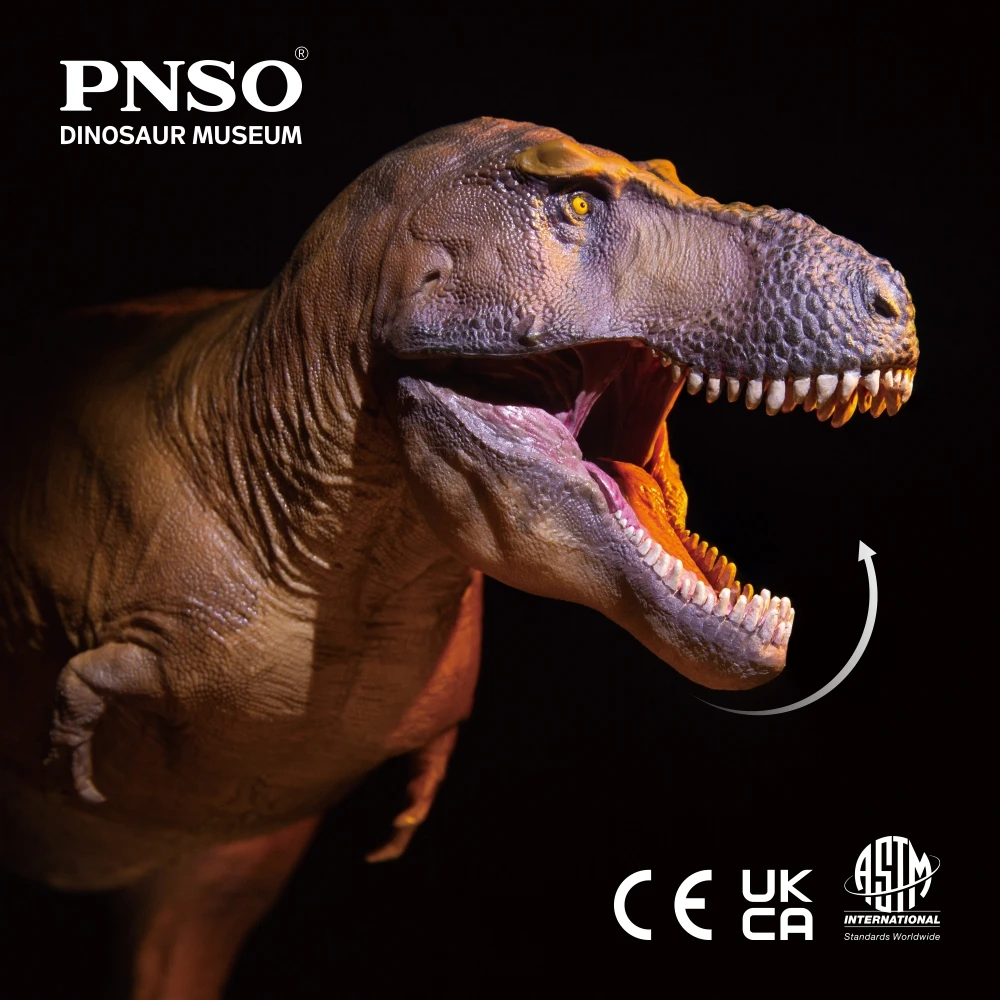 Pnso-恐竜障害シリーズ、キャメロンティラノサウルスrex、18