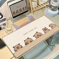 Capybara-7