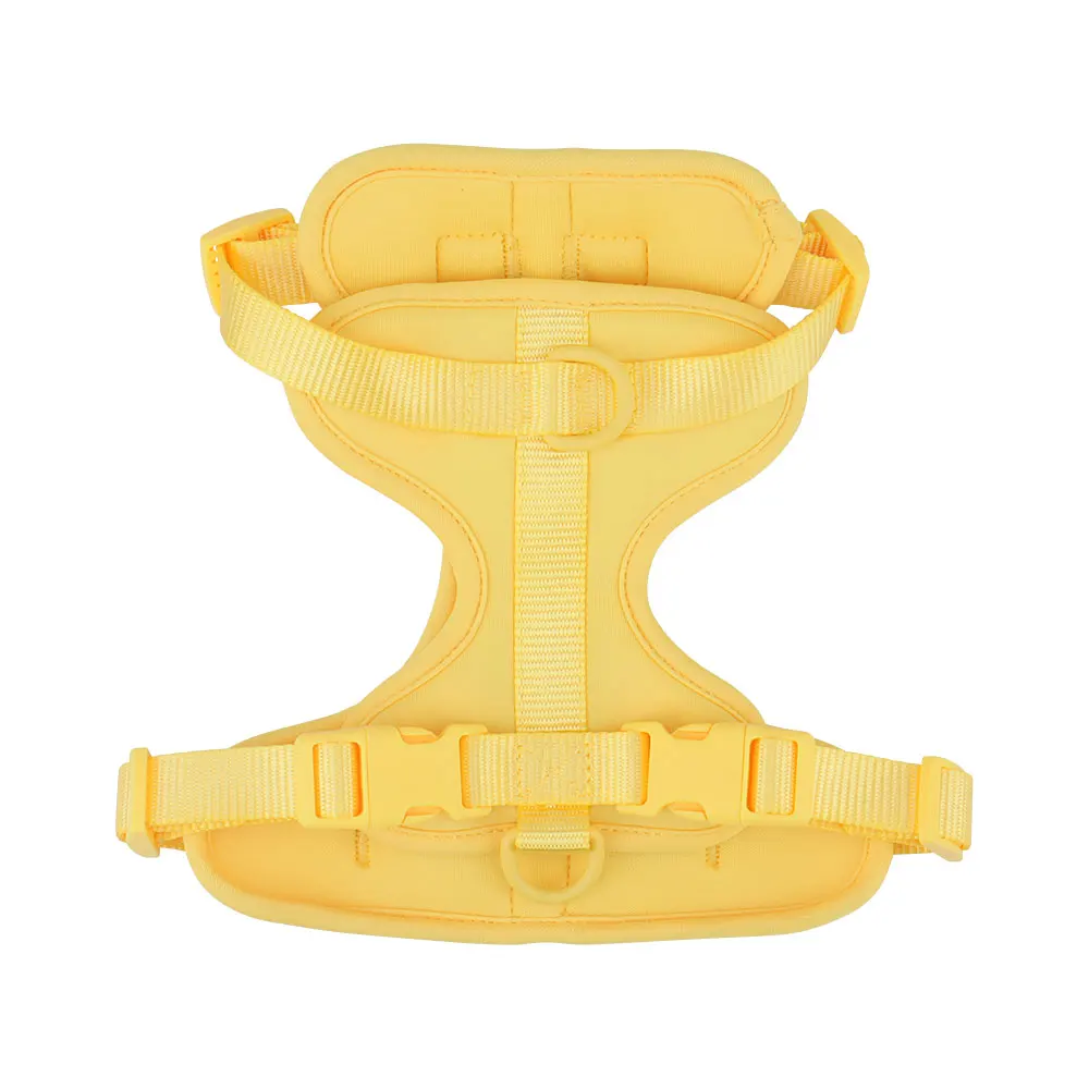 Breathable Lightweight Dog Harness with Adjustable Chest Strap for Outdoor Walks and Training