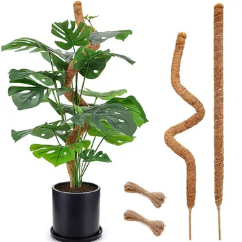 Bendable Moss Pole for Climbing Plants – Coconut Fiber Monstera Support 1