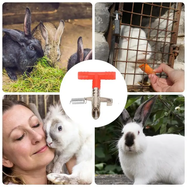 Abbeveratoi Automatici Per Conigli E Roditori - 10 Pezzi Con Capezzolo - Per Gabbie E Animali Piccoli - Foto 4