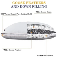 Luxurious Goose Down and Feather Pillow 1 Piece Neck Pillows for Sleeping Home Bed Pillow for Stomach or Side Sleeper Multi Size 2