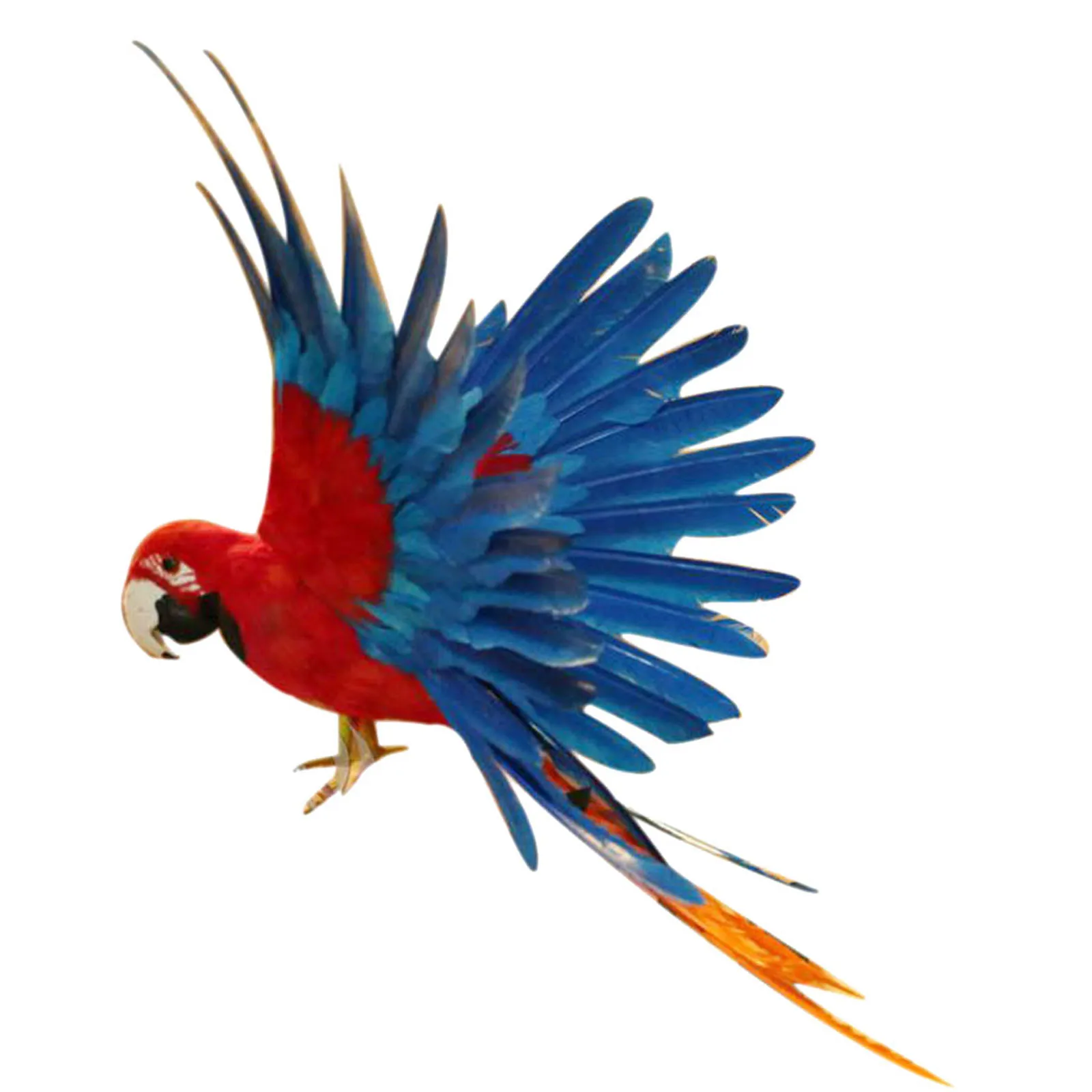 Oiseaux du monde - Coloriage par numéros | Distribution Oiseaux du monde - Coloriage par numéros | Distribution