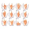 Mini Hands Model Puppets Tiny Hands Cat Massage Tool Miniature Toys Gloves Finger Gloves Little Finger Interactive Cat Toy