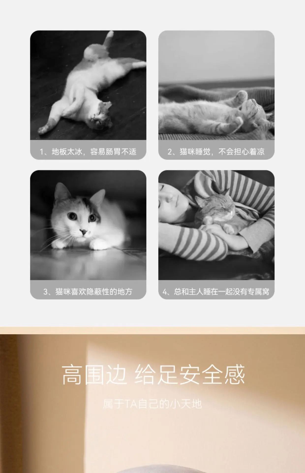 https://ae01.alicdn.com/kf/S5d8ad17a2ecb4f56b6d110a09d345b92P.jpg