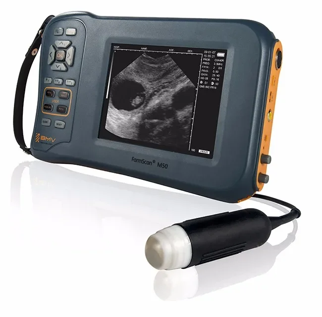 

FarmScan M50 Palm pig Ultrasound Machine/ultrasound veterinary portable