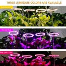 

Multiple Styles Plant Growth Light Energy Saving Multiple Styles Indoor Plant Light Accelerate Photosynthesis