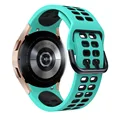 Water duck black