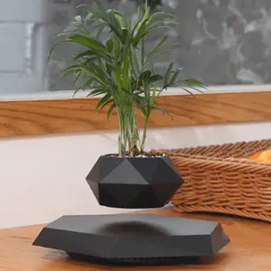 GOHHK Portable Levitating Potted Floating Pot Air Bonsai Magnetic