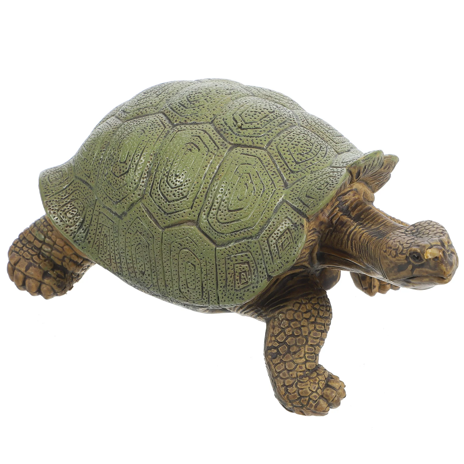 

Simulation Turtle Toy Figure Realistic Turtle Model Simulation Animal Educational Model