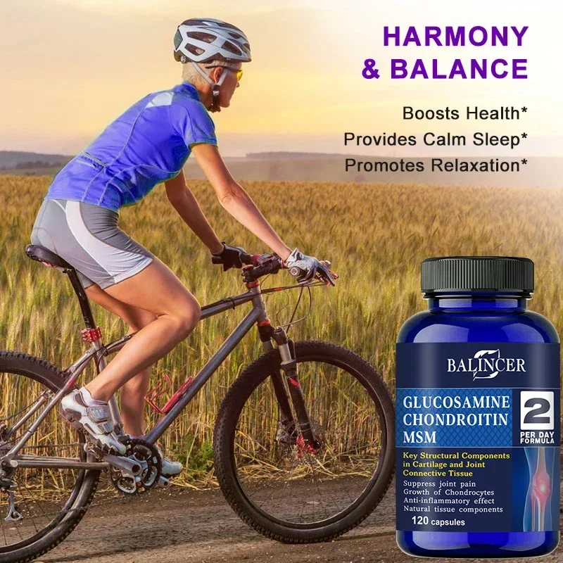 Glucosamine Chondroitin Supplement Glucosamine Chondroitin MSM Supplement Joint Support Nutritional Supplement for Bone and Normal Cartilage Health