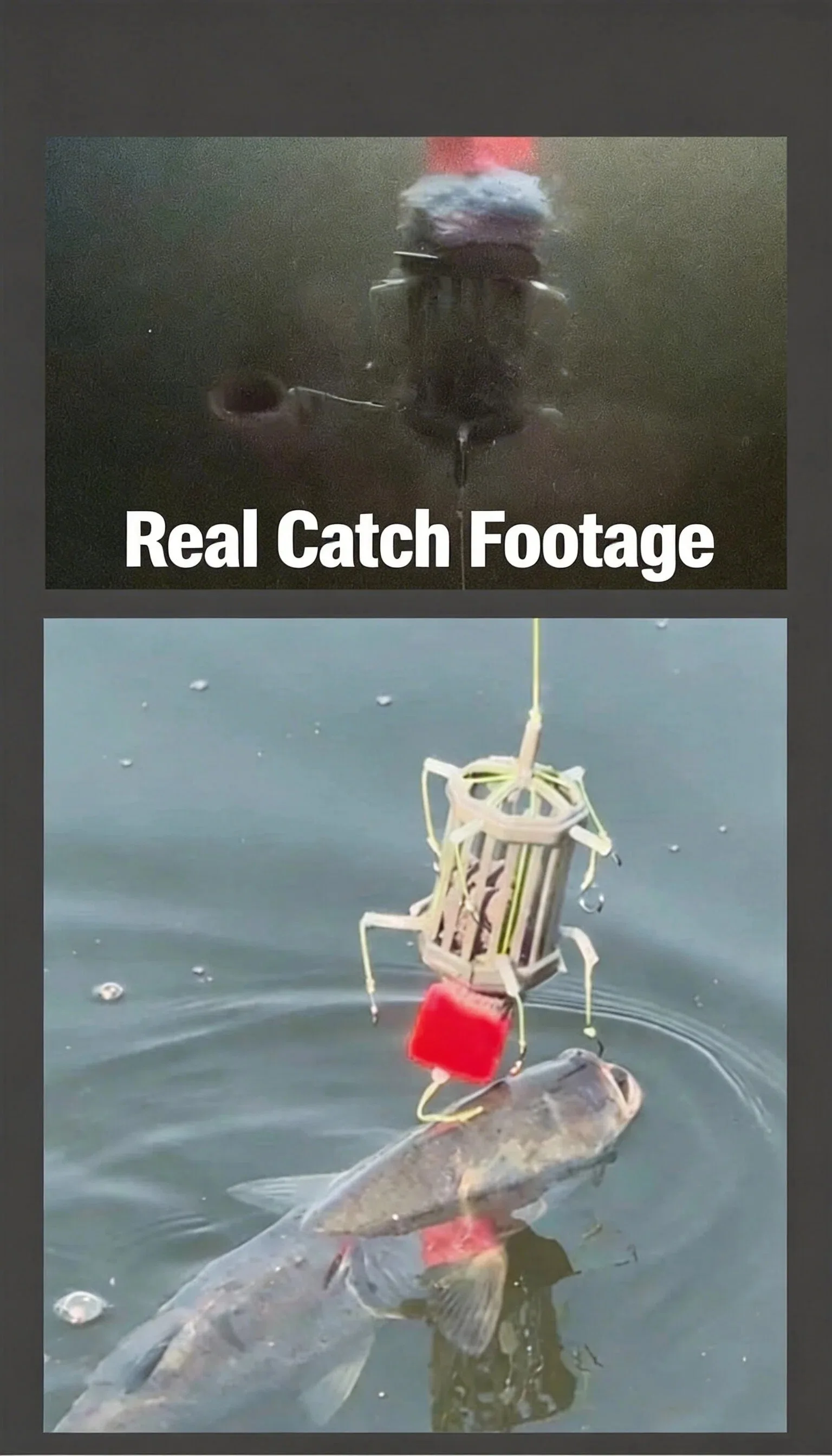 Reverse Bottom Bait Cage String Hook Fishing Bait Cage Anti Bottom 8 Hooks PE Line Group Feeder Sinker Freshwater Fishing Pesca – Detail 7