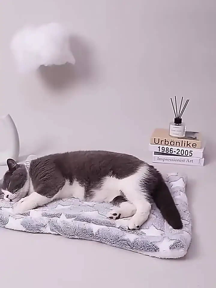 Kattenbakken en matten - De beste prijs/kwaliteit | De Blaffende Kattenbakken en matten - De beste prijs/kwaliteit | De Blaffende
