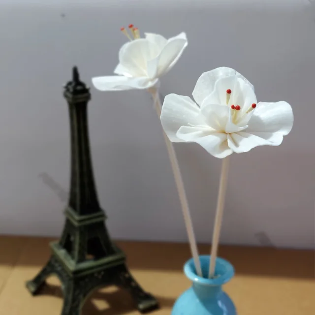 10 Darabos Szilvavirág Szárított Virág Nincs Tűz Aroma Diffúzora Háztartási Hálószoba Diffúzor Kiegészítők Nád Rattan Botok - Image 3