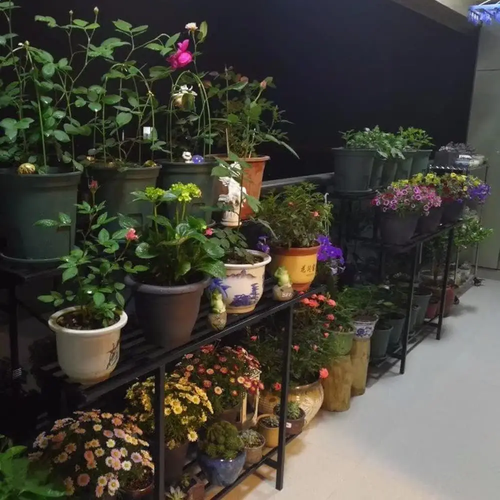 Sturdy 3 Tier Heavy Duty Plant Stand Indoor Outdoor Space Saving Carbon Steel Construction Plant Holder Easy Assembly 4